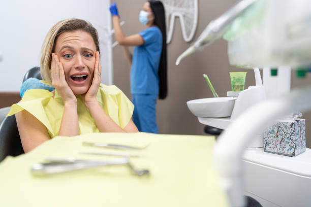 Best Emergency Dental Care for Trauma or Injury in Temple Terrace, FL